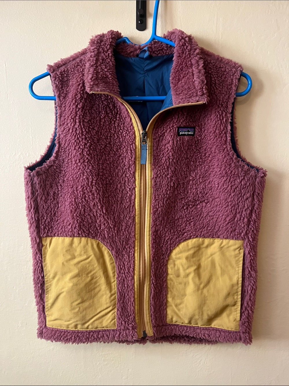 Patagonia Classic Retro Pile Vest